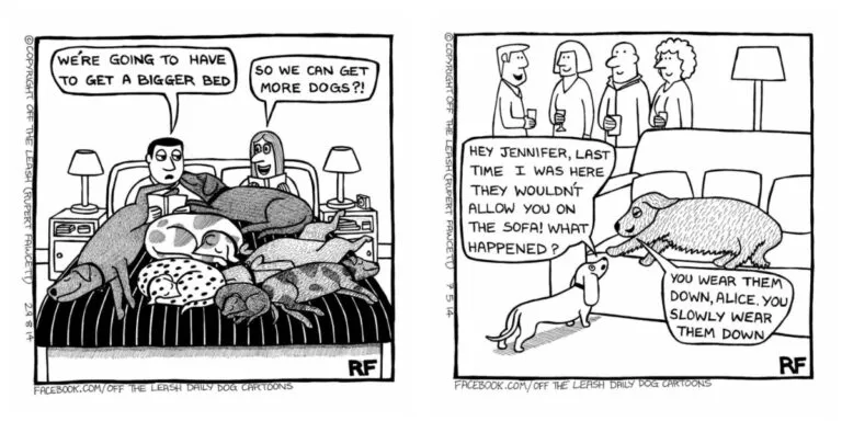 Comic Artist Illustrates the Humorous Realities of Owning a Dog