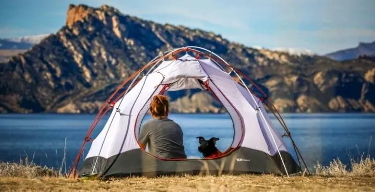 8 Best Tents For Camping With Dogs